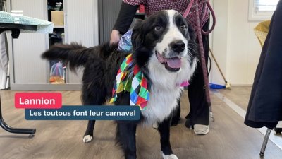 Le Carnaval des Animaux