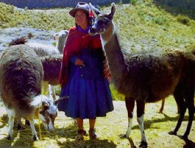 Exposition découverte du Pérou
