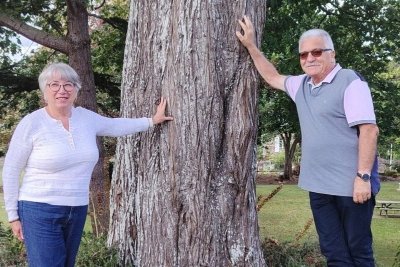 Balade contée autour des arbres