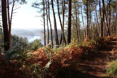 Art et nature autour de la mare