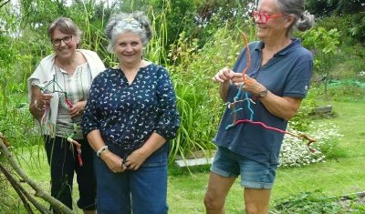 Les simples de nos jardins