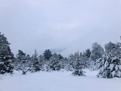 Circuit raquettes - L'Etang du Devin