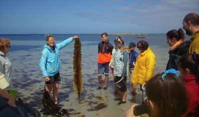 Sorties et cuisine aux Algues avec Régine Quéva