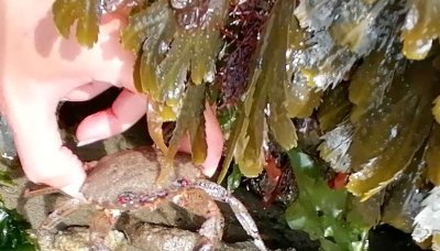 Balades nature de Valérie