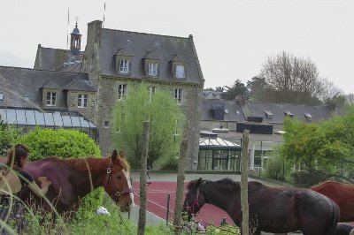 Les Chevaux d'Achille