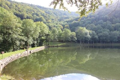 Lac du Lachtelweiher