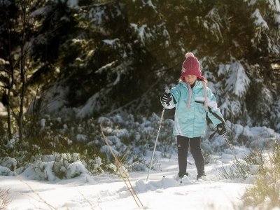 Sentier raquettes CDF01 : Le tour du Champ du Feu