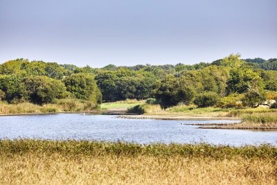 Dunes et étangs de Trévignon
