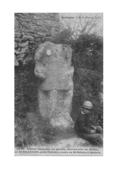 Ces oiseaux venus du nord ...