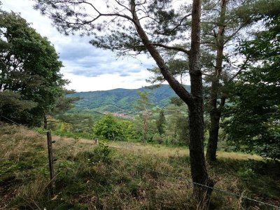 Randonnée - La Honel