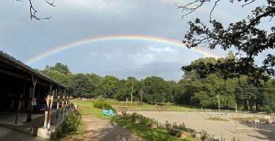 Les écuries du petit bois