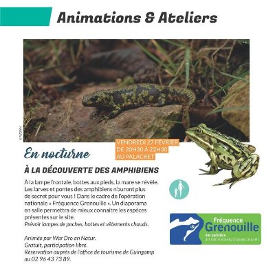 Sortie nocturne à la découverte des amphibiens