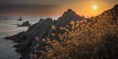 Café paysage - Plan paysage du Cap Sizun