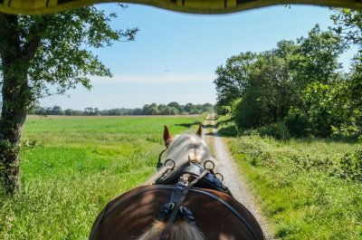Les calèches de Barenton