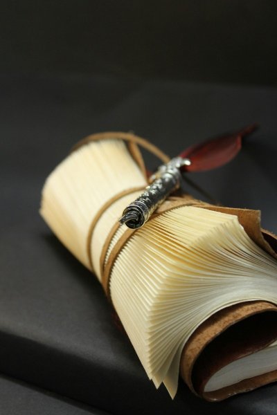 GOTAINER RAMÈNE SA PHRASE