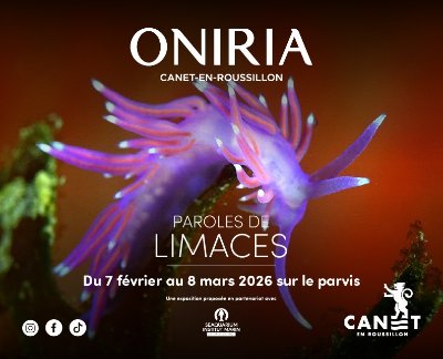 ONIRIA - EXPOSITION XXL « PAROLES DE LIMACES »