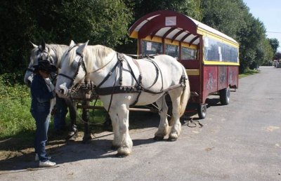 Attelage en Quiberon