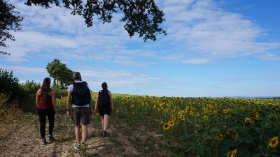 Circuit du Point du Jour