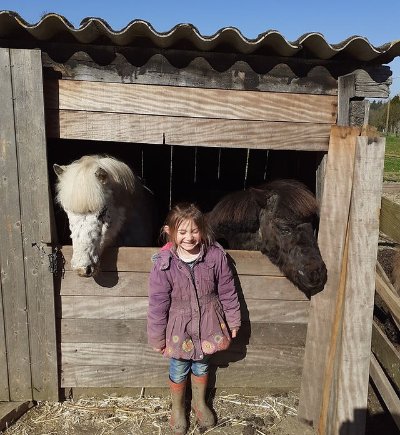 Les Écuries Chouetland