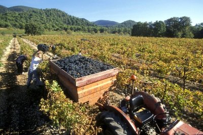 PERTUIS - Le Pays d'Aigues à vélo en 2 jours