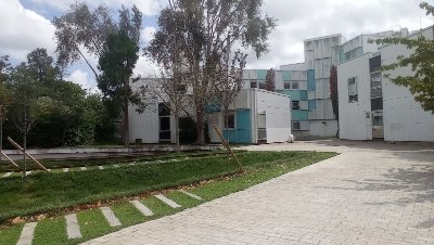 Journée internationale pour l'élimination des violences à l'égard des femmes