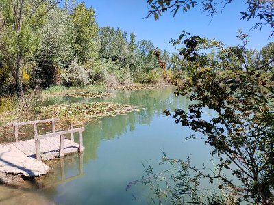 Noves au fil de l'eau