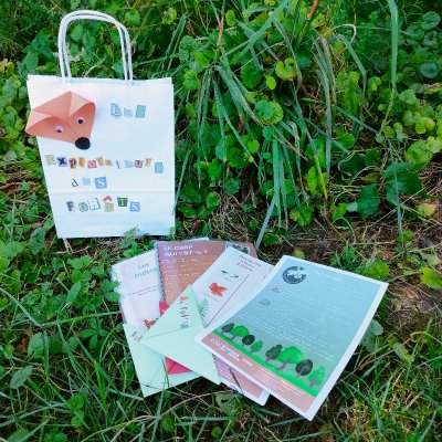 Les explorateurs des forêts