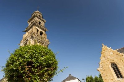 Initiation à la voltige + poney