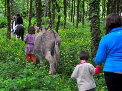 Activités de loisirs équestres du Domaine de Kernanou