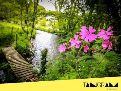 Exposition « Ster Goz, rivière vivante : un patrimoine à protéger »