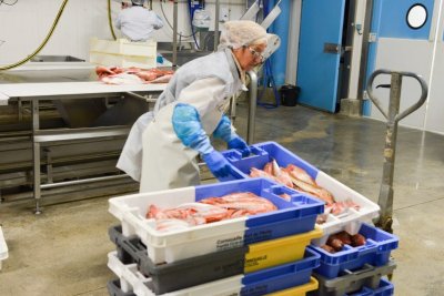 L'Atelier de St-Gué