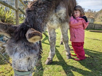 Atelier Les petits âniers