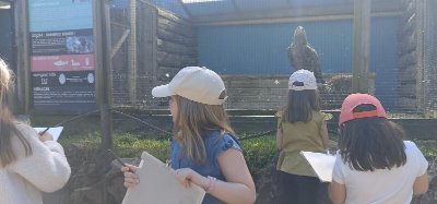 Dessiner à l'Aquashow - atelier enfants (6-10 ans)