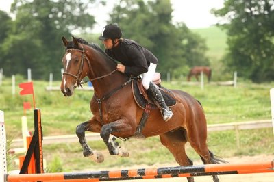 Centre équestre de Tromelin - Mahalon