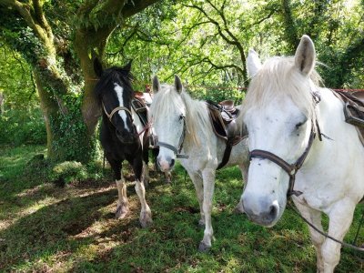 Ker Ehwaz Equitation