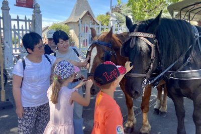 Les écuries d'Ydill