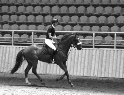 Les Ecuries de la Ville Vain