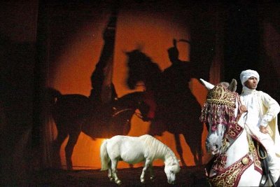 Spectacle équestre "Le Nouveau Royaume"