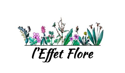L'effet flore