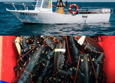 Homard & Co  Pescatourisme