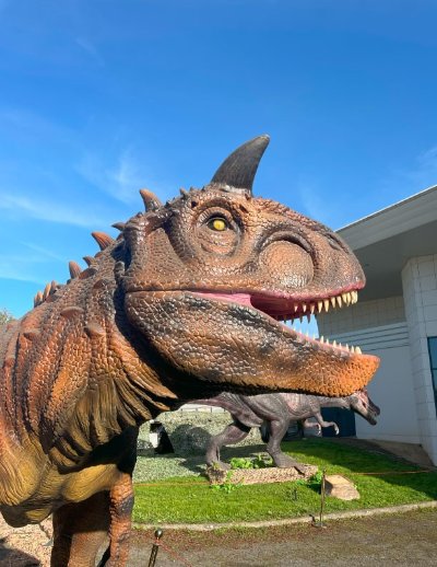 Exposition découverte : L'histoire des Dinosaures