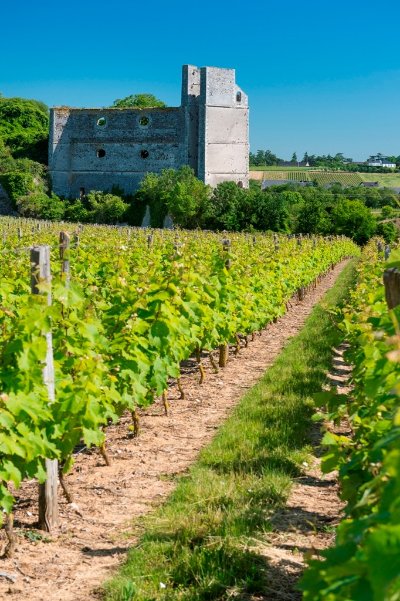Sentier du ruisseau des Moulins