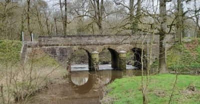 LE BOIS DE LA CHOLTIERE