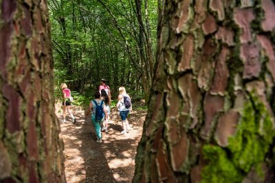 Randonnée "Entre forêt et bocage"