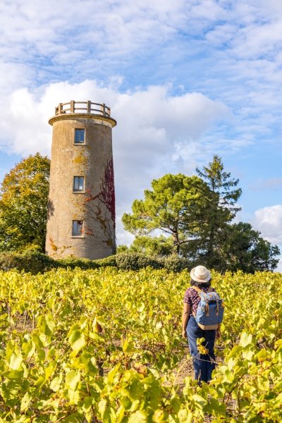 Panorama sur Saint-Fiacre-Sur-Maine depuis le Moulin de la Faubretière