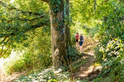 Randonnée "Le gallo-romain sylvanois"