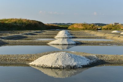 Une soirée sur la saline de la Maison Charteau