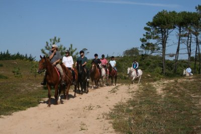 Pension équestre - écurie de la Buzelière
