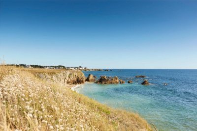 Maria Karanakova Sorties algues et plantes sauvages