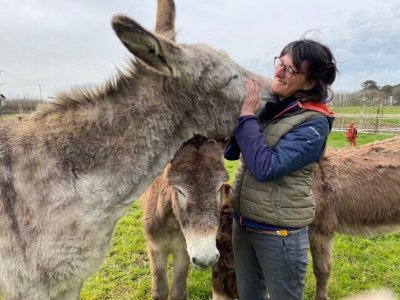 Week-end formation autour de l'âne